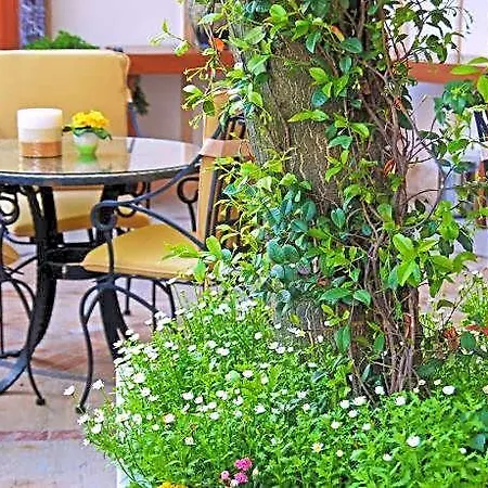 Hotell Antea Palace & 4*